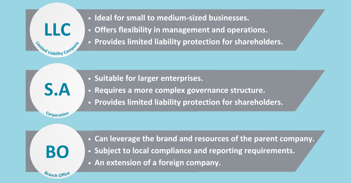 Business Structure in chile