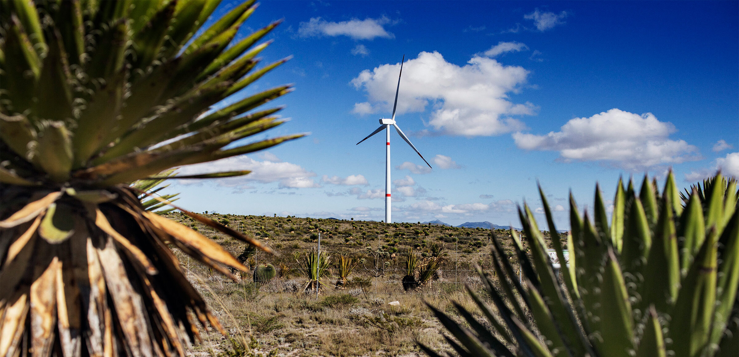 wind-power-mexico_2400x1160